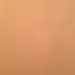 Meet your Posher, Tessa